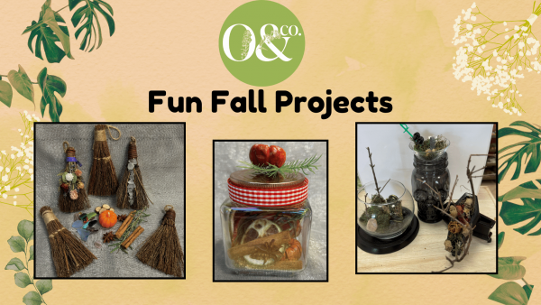 fall