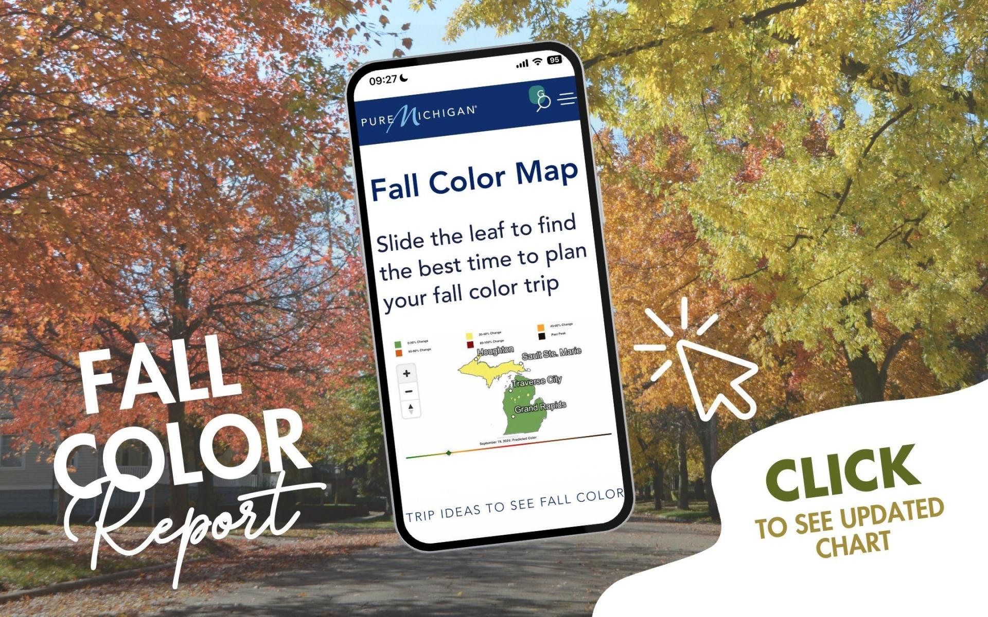 Fall Color Map