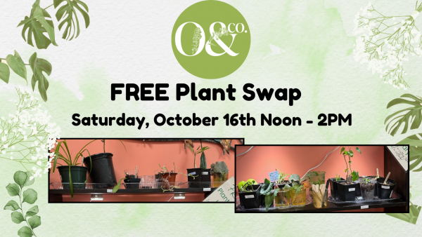 Free Plant Swap