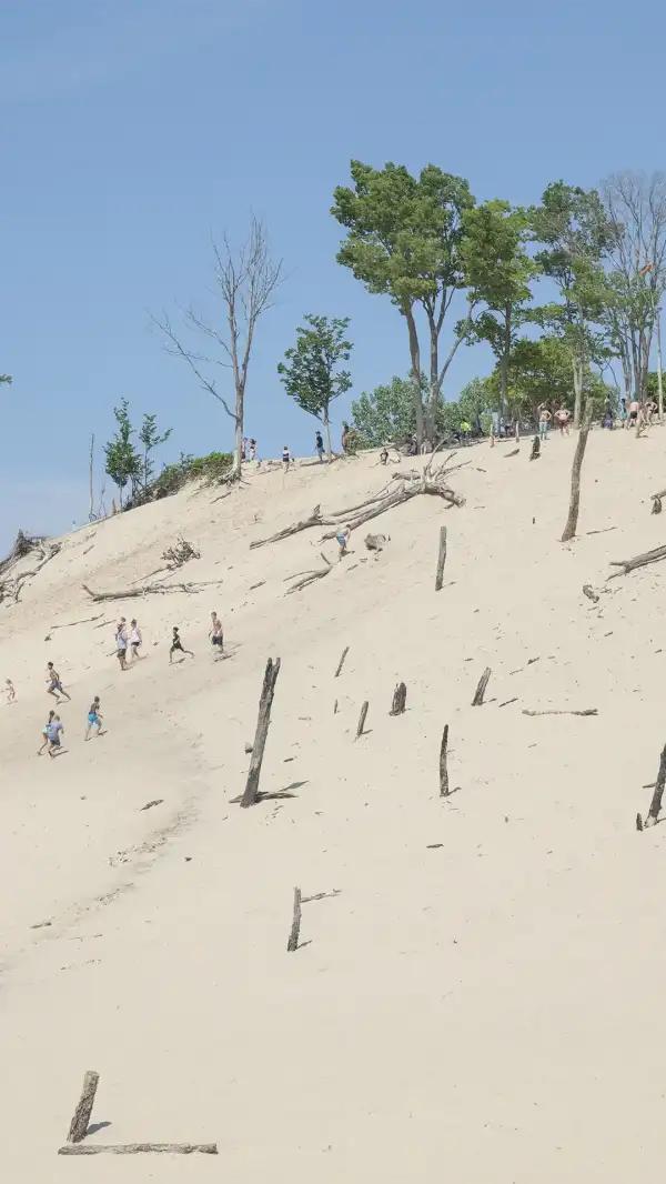 People climbing a dune at Warren Dunes.