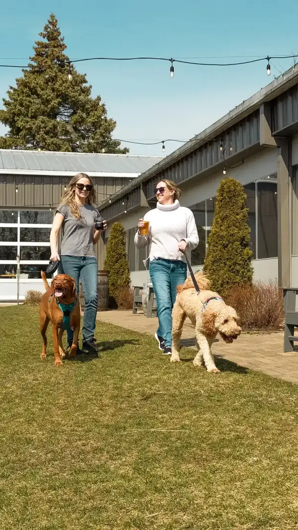 Two people with dogs at Watermark Brewery.