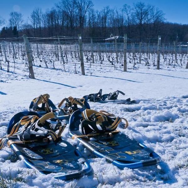 Snowshoes at a winery.