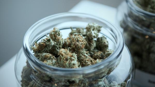 Buchanan, Michigan: A Cannabis-Friendly Hidden Gem