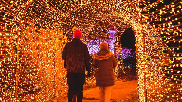 LIGHTS at Fernwood Botanical Garden