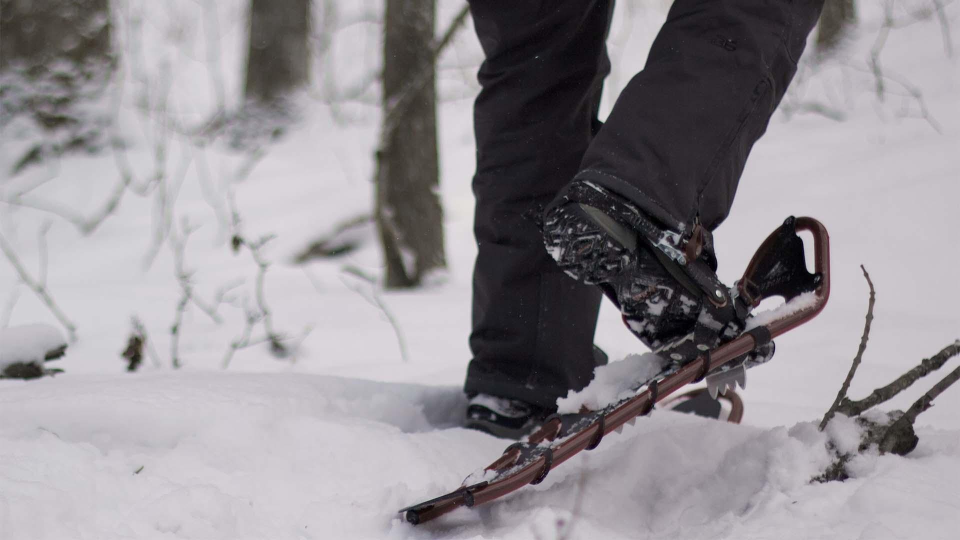 Snowshoeing at Sarett Nature Center