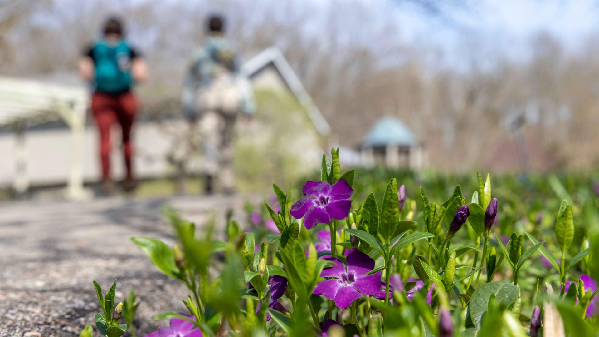 Fernwood-Botanical-Garden