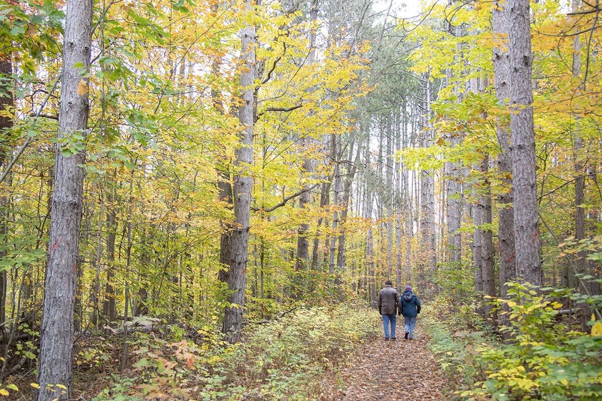 Two people hiking a trail in the fall. 