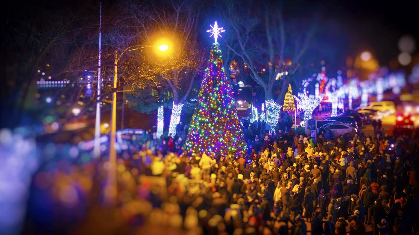 Tree lighting in St. Joseph, MI