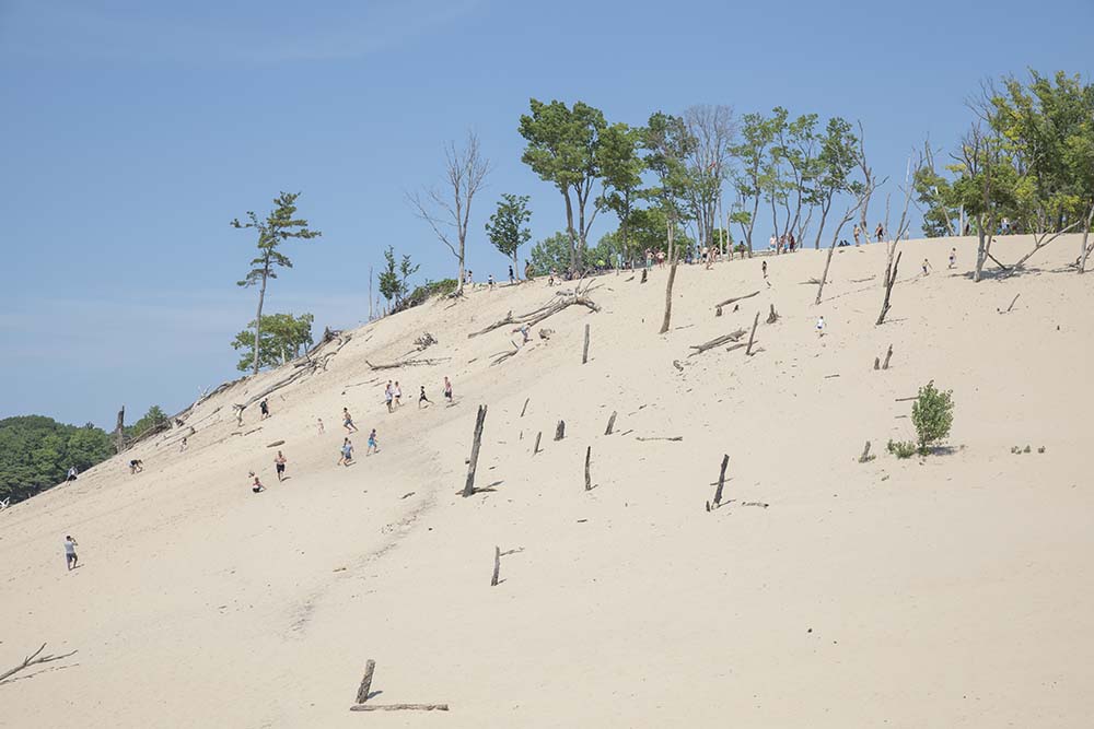 A large dune at Warren Dunes State Park