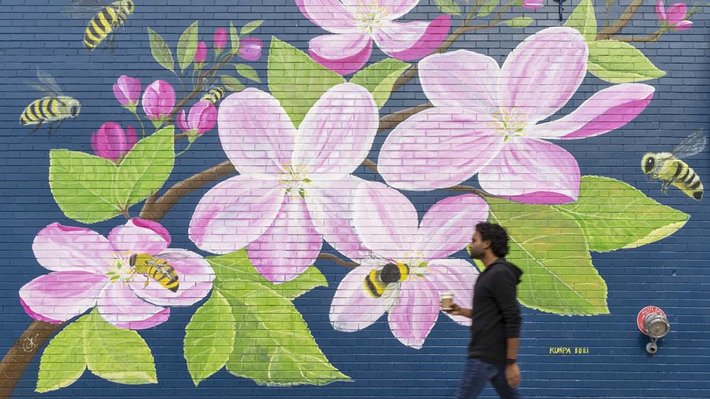 Flower Mural at Silver Harbor Brewery
