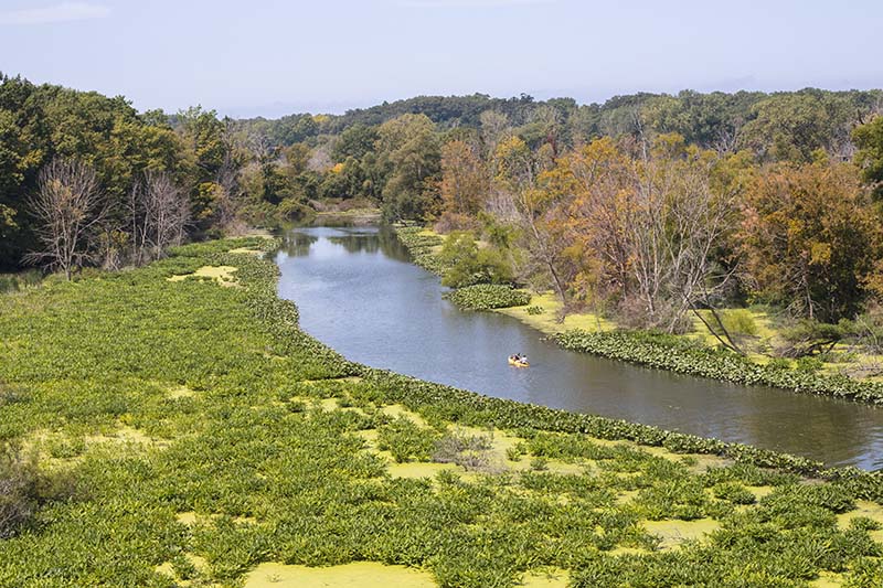 Kayaking at Galien River