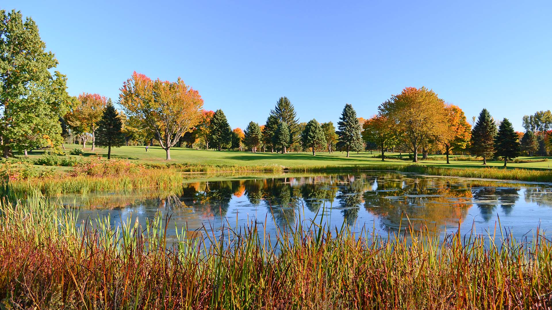 Lake Michigan Hills Golf Club in the Fall