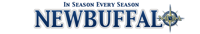 New Buffalo Business & Community Association Logo
