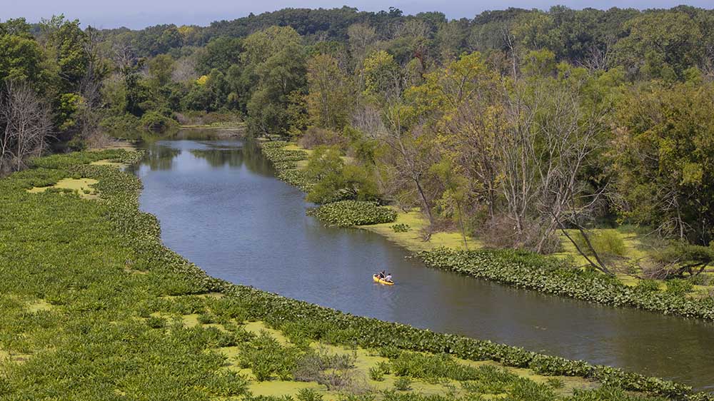 People paddling the river at Galien River County Park