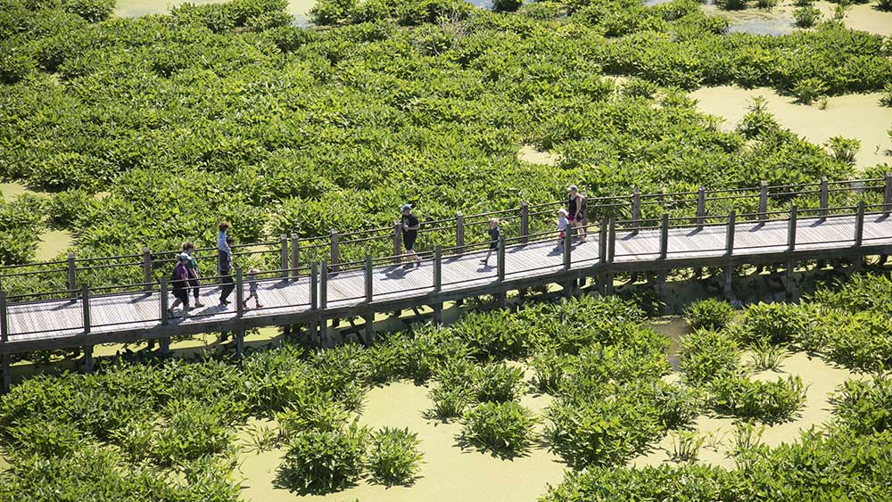 People walking the boardwalk at Galien River County Park.