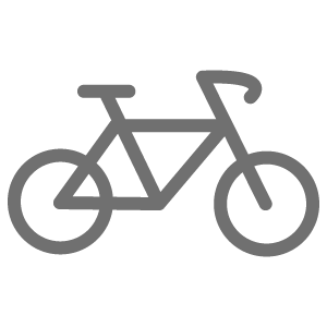 Biking Tag Icon