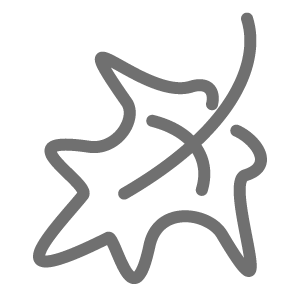 Fall Tag Icon
