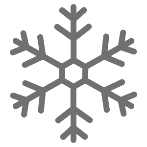 Winter Tag Icon
