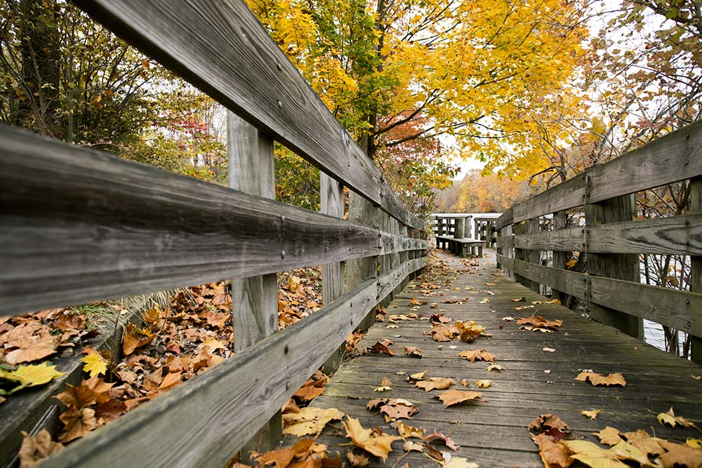 Wooden walkway during the fall in Buchanan