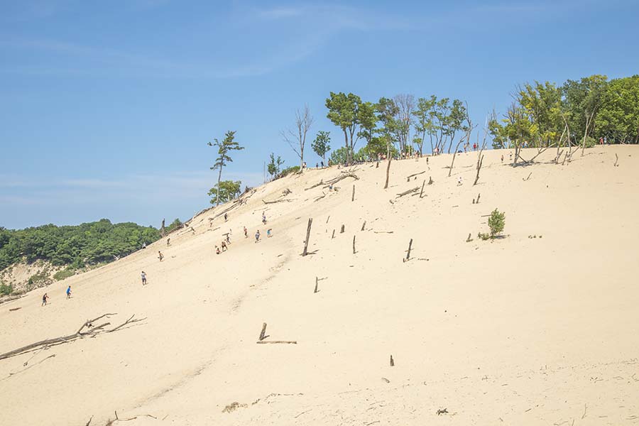 Towering Dunes