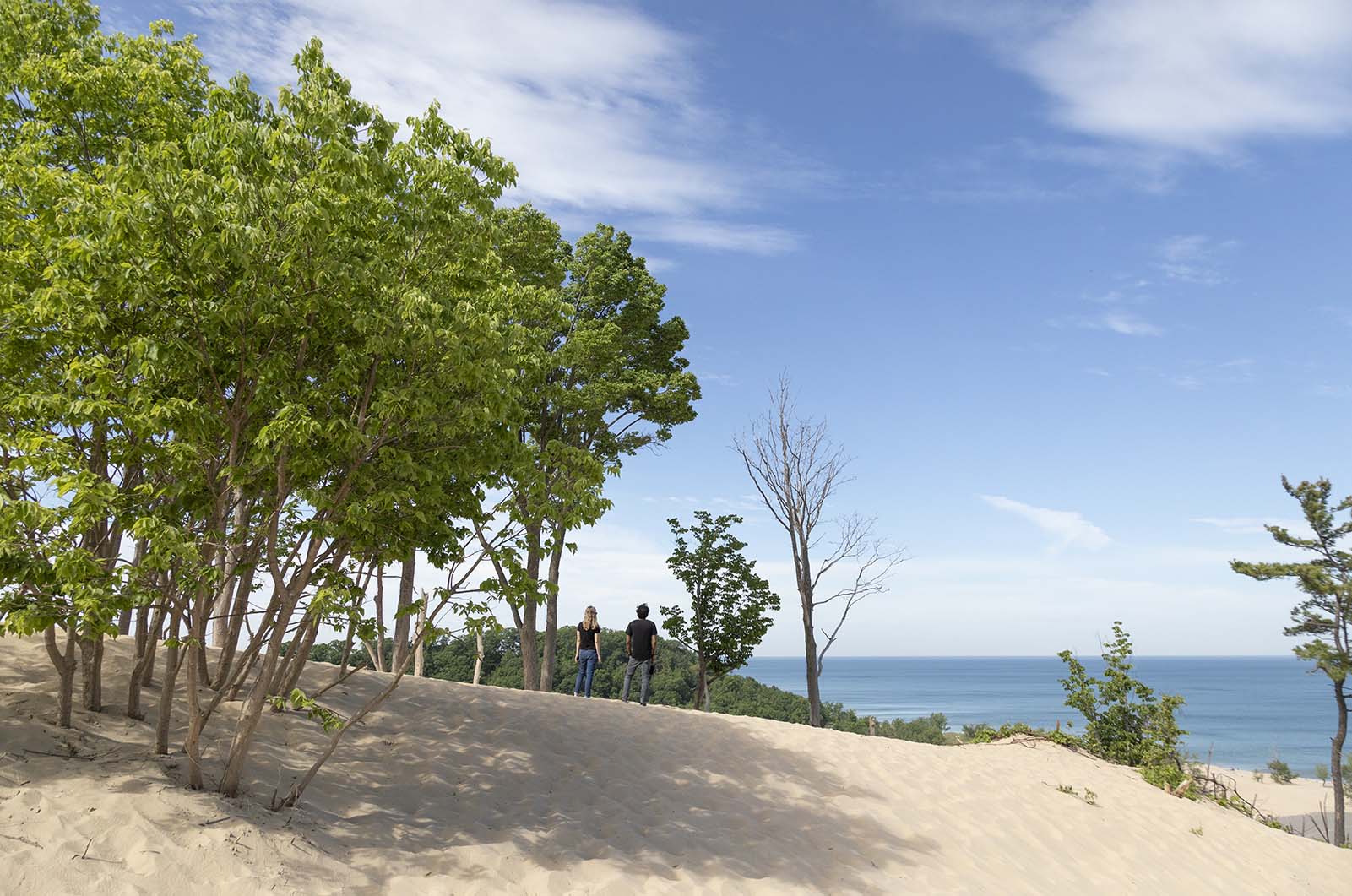 A couple standing on top of a dune at Warren Dunes State Park