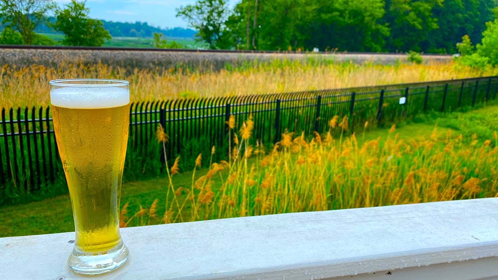 Beer sitting on a railing with a view of the Galien River Marsh in the distance.