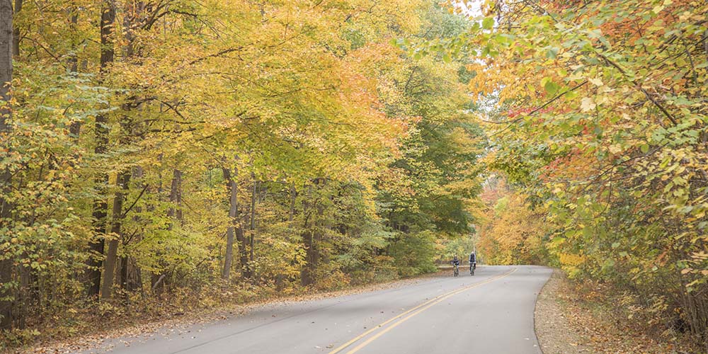 Fall color and a road