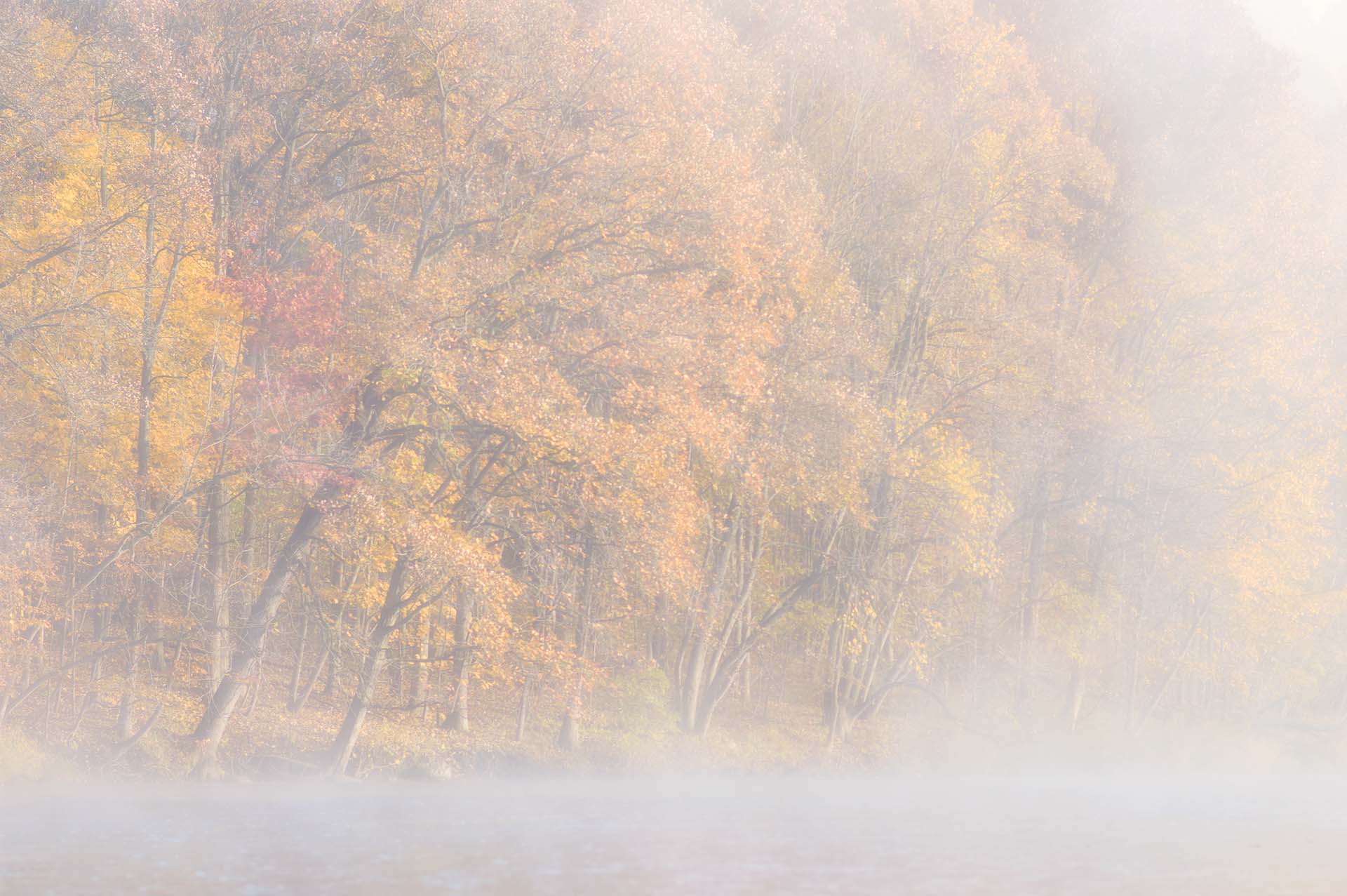 Fall Color and Fog Photo Joshua Nowicki