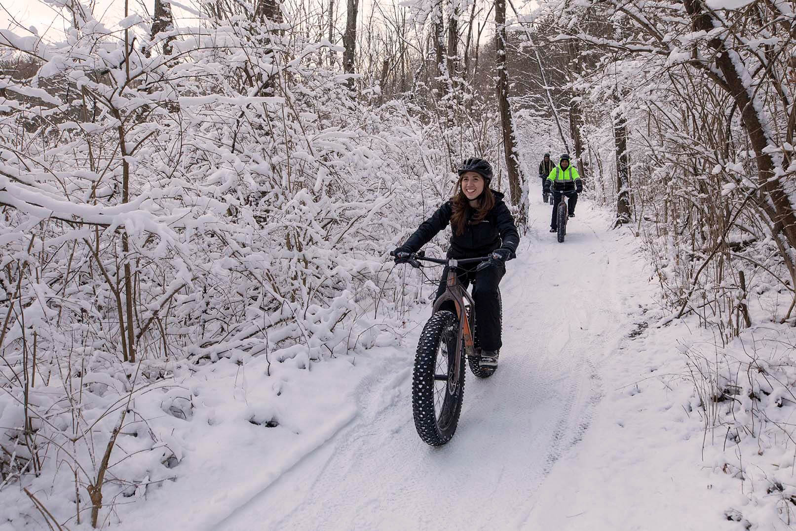 Fat Tire Bike