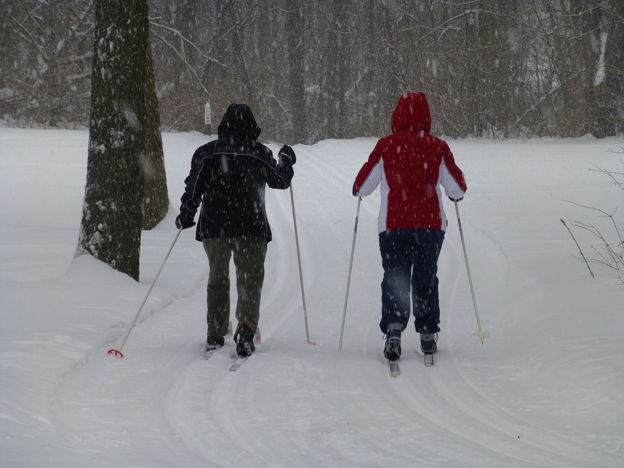 Madeline Bertrand County Park Skiers