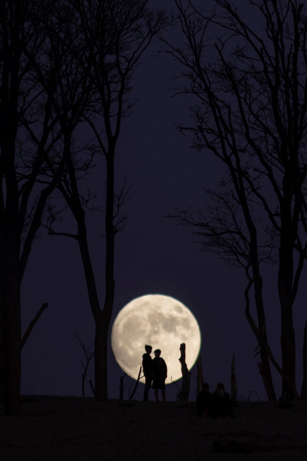 Moon & People photo by Joshua Nowicki