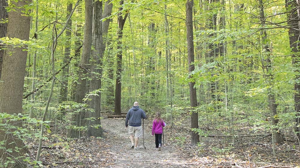 People walking in the woods