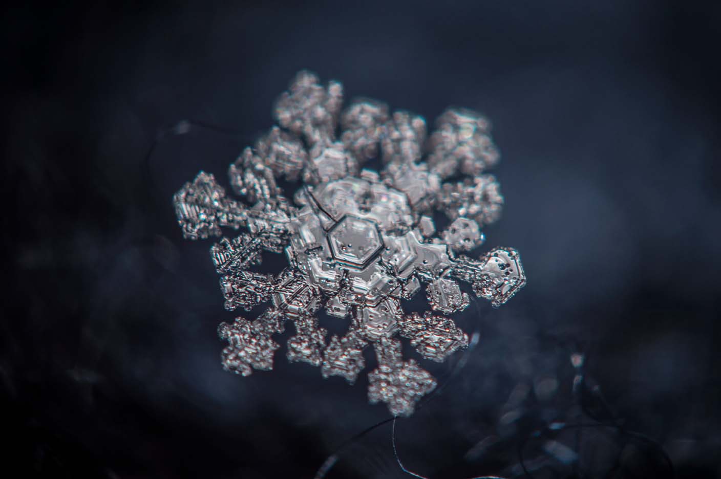 Snowflake Joshua Nowicki 2