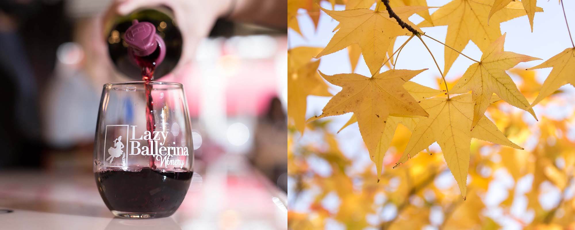 Wine And Leaves