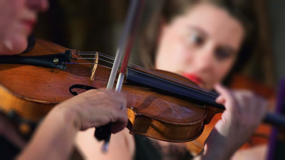 closeup photo of a person playing a violin
