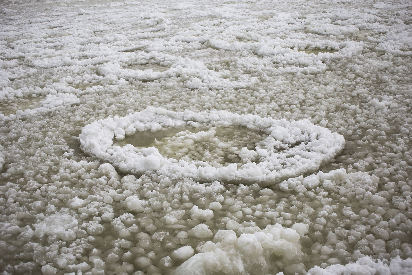 Ice formation in lake that looks like pancake