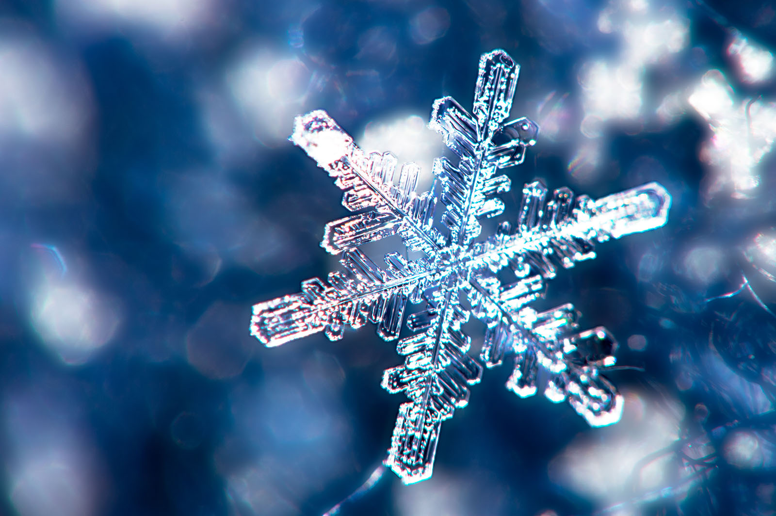 Close up shot of a single snowflake