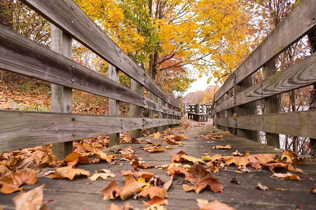 Southwest Michigan fall leaves on a boardwalk
