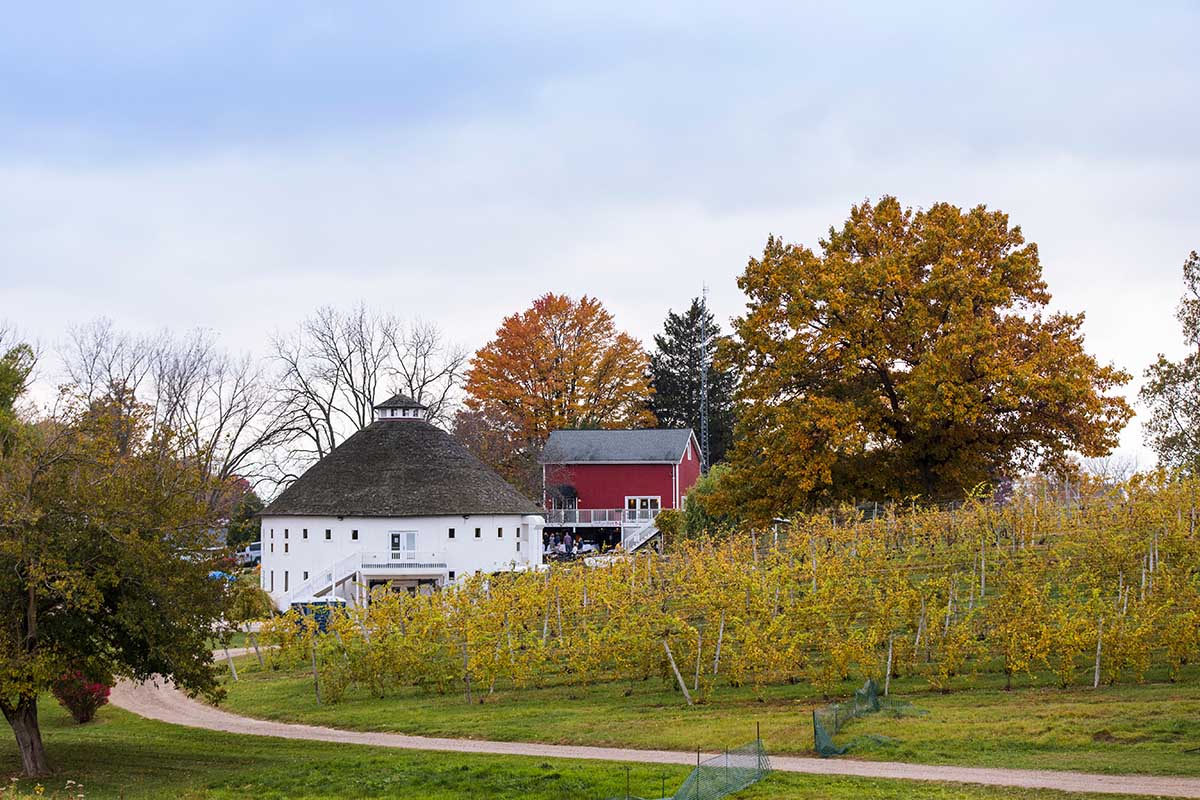 The beautiful Round Barn Estate vineyard during peak fall color season