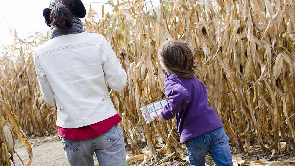 Two people in a corn maze.