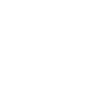 Stamp Icon for Citadel Dance & Music Center (CDM)