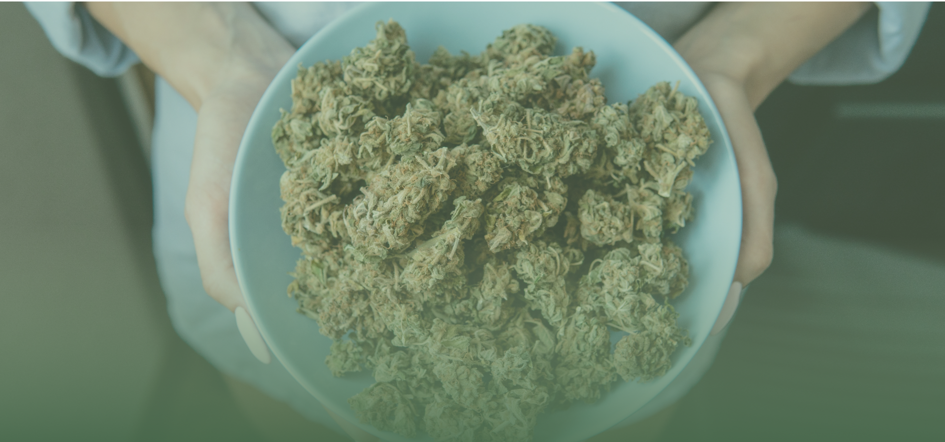 A bowl filled with marijuana buds.